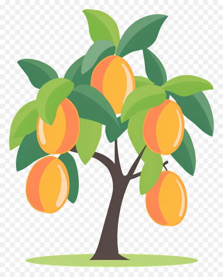 Pohon Mangga，Pohon Lemon PNG