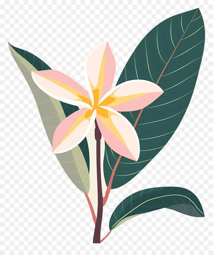 Bunga Plumeria，Bunga Kuning Dan Daun Hijau PNG