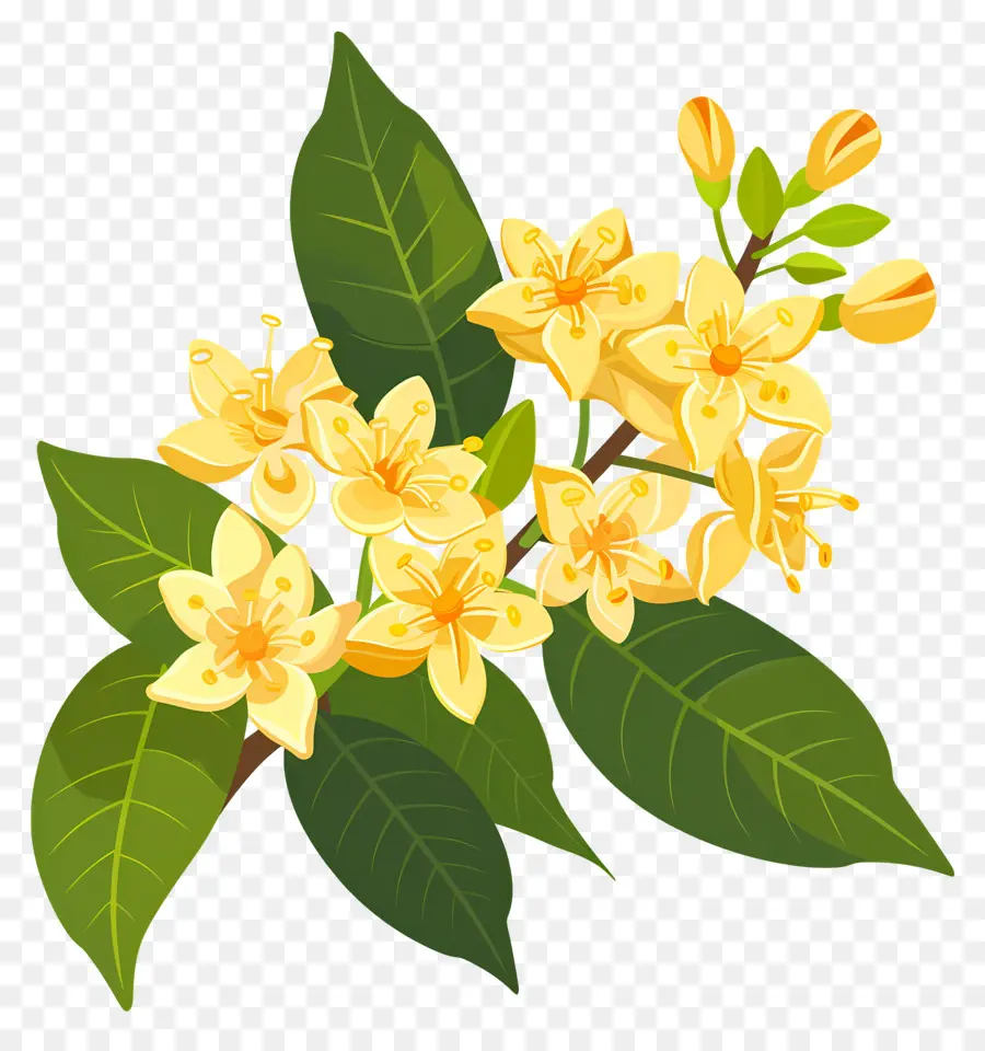 Bunga Osmanthus，Bunga Kuning PNG