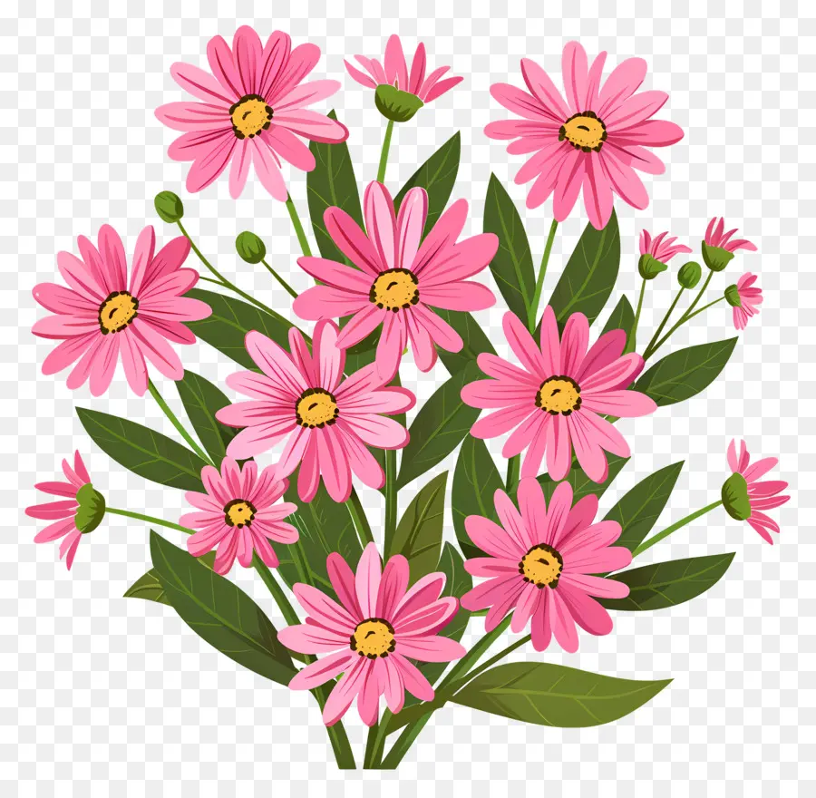 Bunga Daisy，Bunga Merah Muda PNG