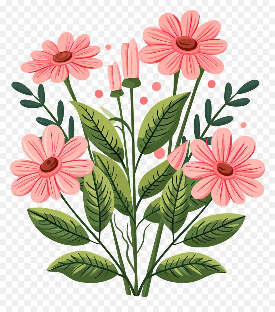 Bunga Daisy，Bunga Merah Muda PNG