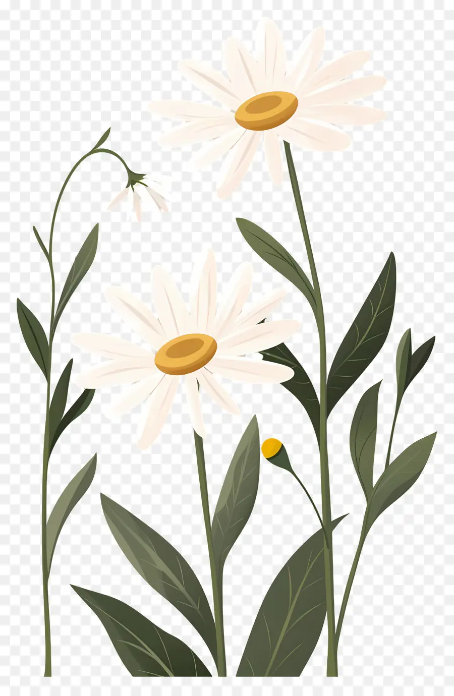 Bunga Daisy，Bunga Kuning PNG