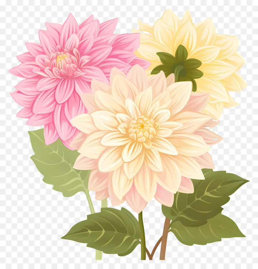 Bunga Dahlia，Bunga Merah Muda Dan Kuning PNG