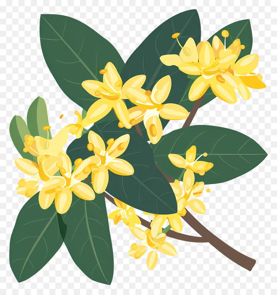 Bunga Osmanthus，Bunga Kuning PNG