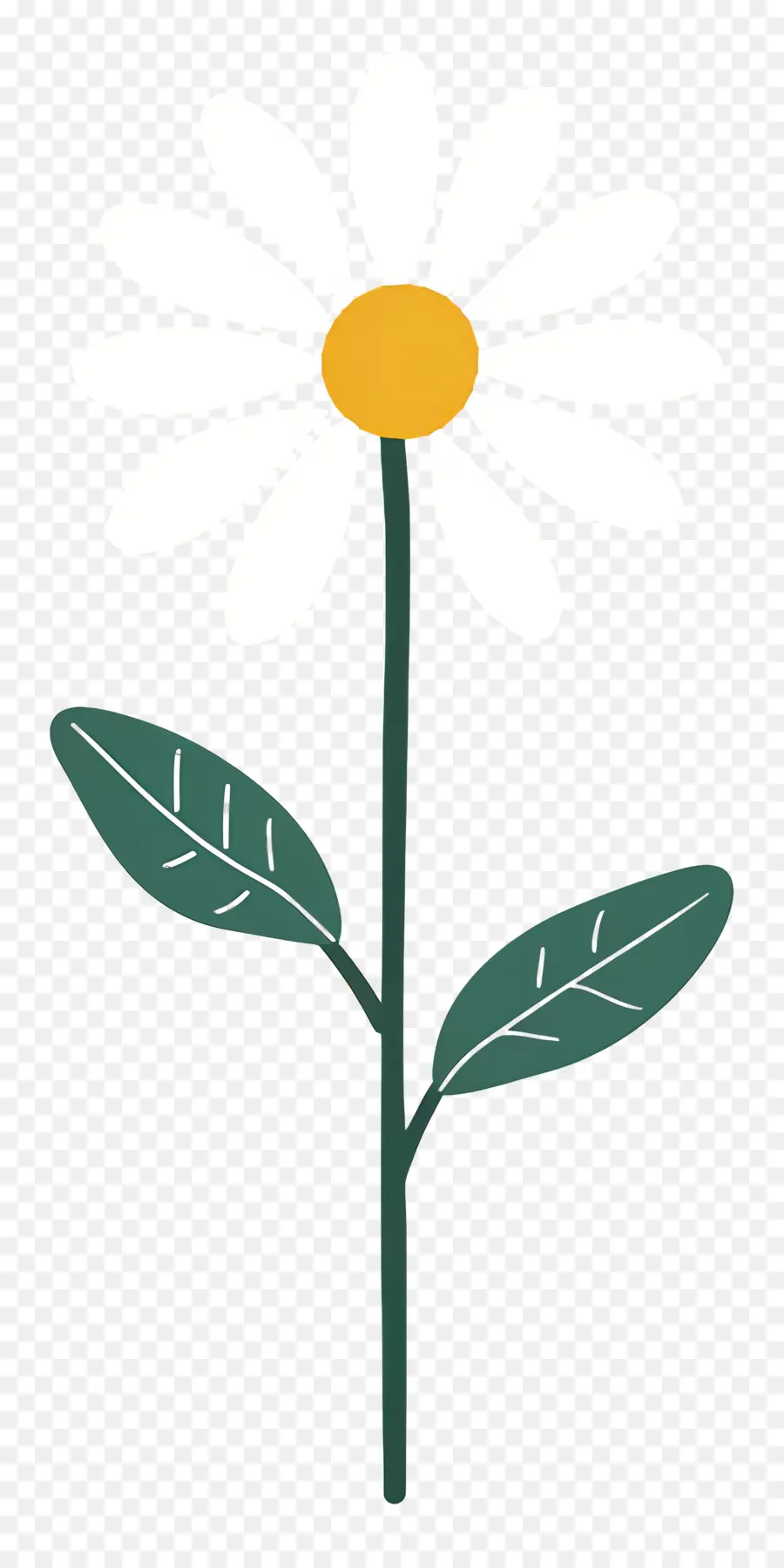 Bunga Daisy，Minimal Daisy PNG