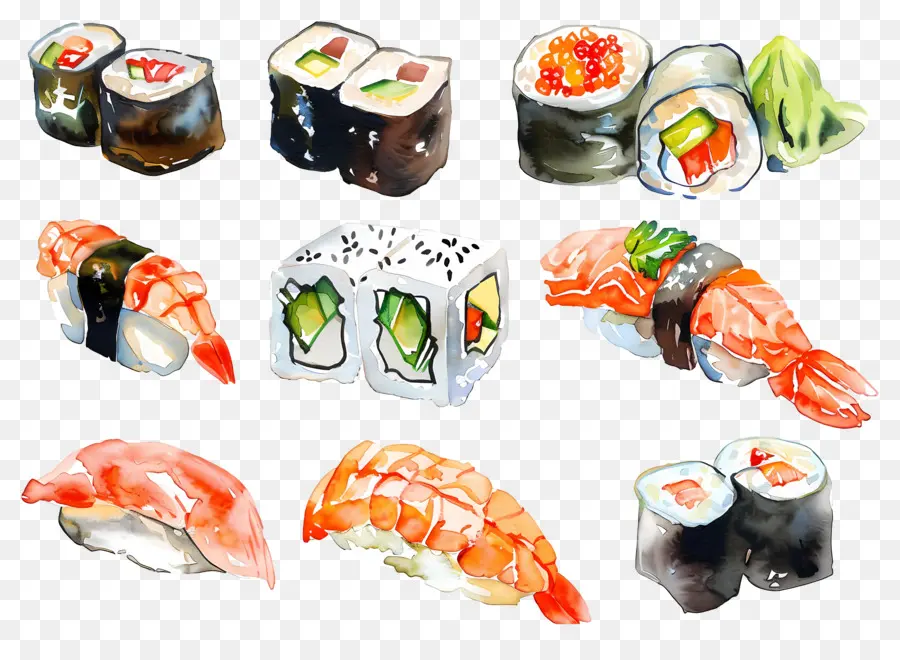 Sushi Cat Air，Sushi PNG