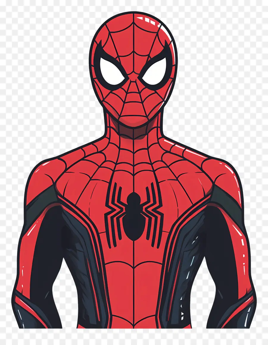 Spider Man Berdiri，Manusia Laba Laba PNG