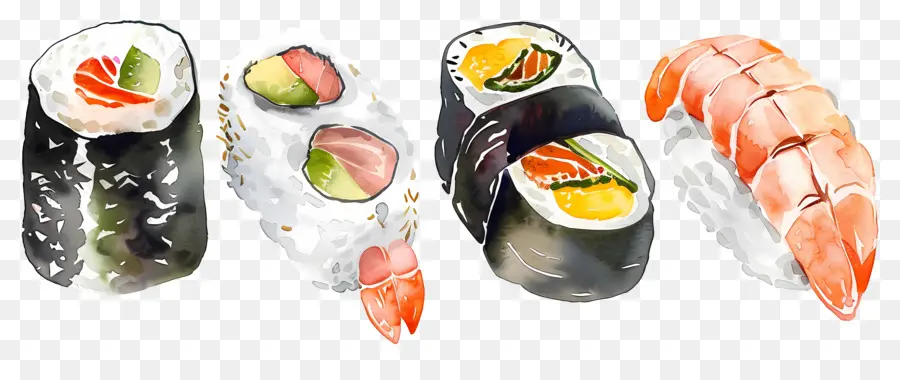 Sushi Cat Air，Sushi PNG