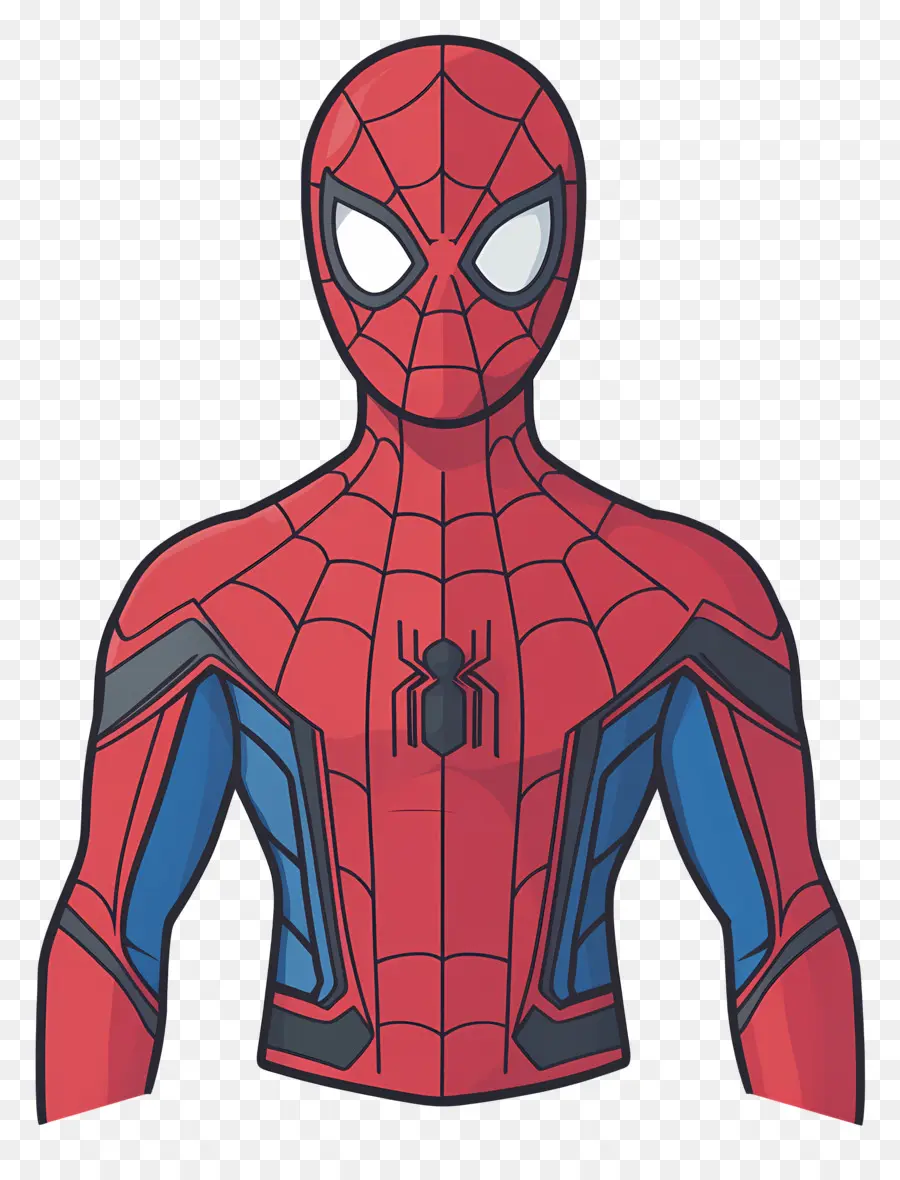 Spider Man Berdiri，Manusia Laba Laba PNG