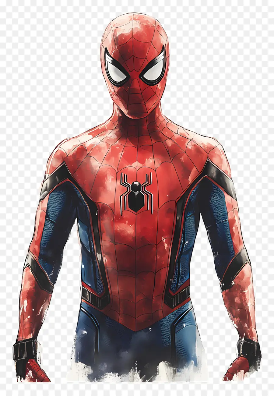 Spider Man Berdiri，Spider Man Dengan Setelan Merah Dan Biru PNG