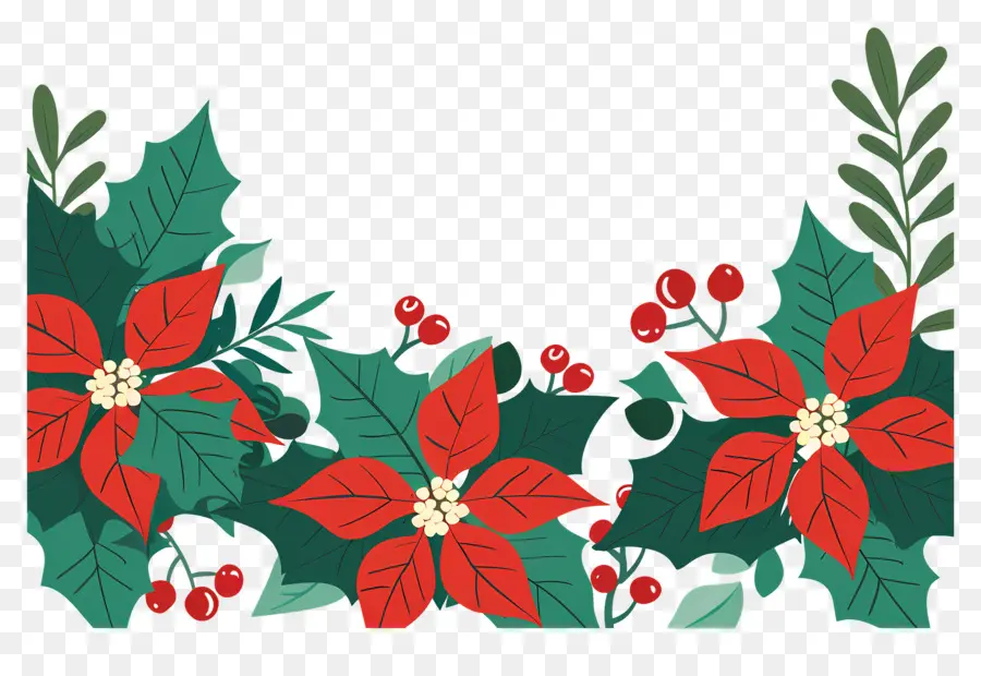 Perbatasan Natal，Poinsettia Dan Holly PNG