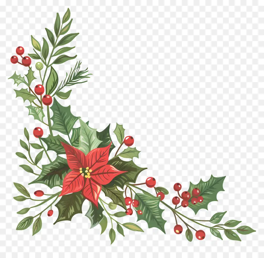 Pojok Natal，Poinsettia PNG