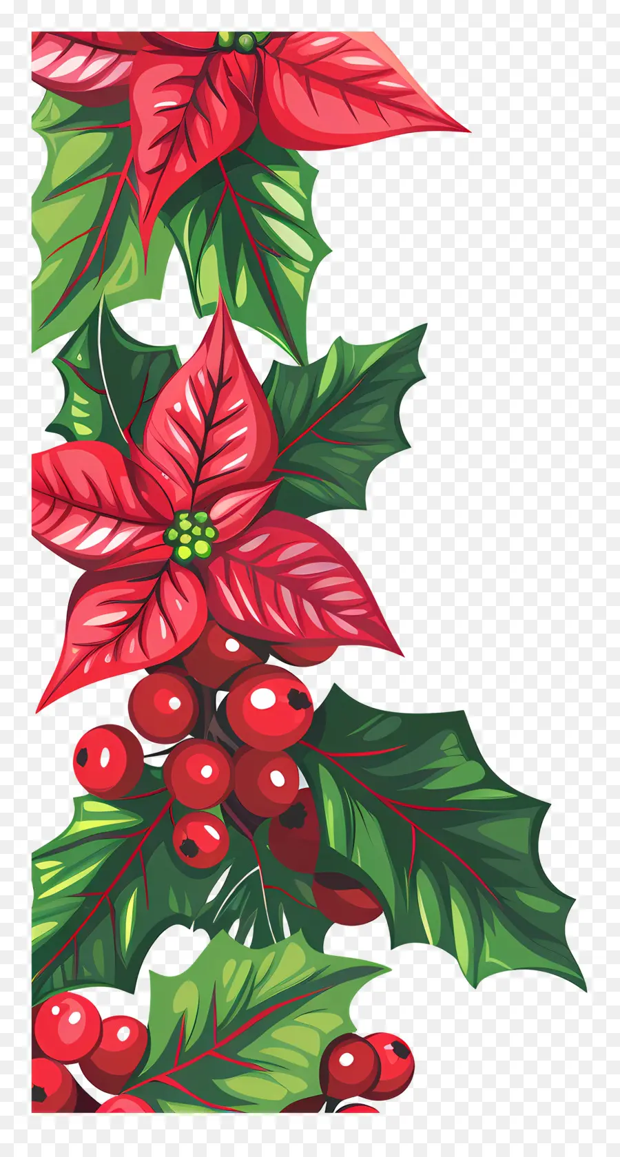 Perbatasan Natal，Poinsettia Vertikal PNG