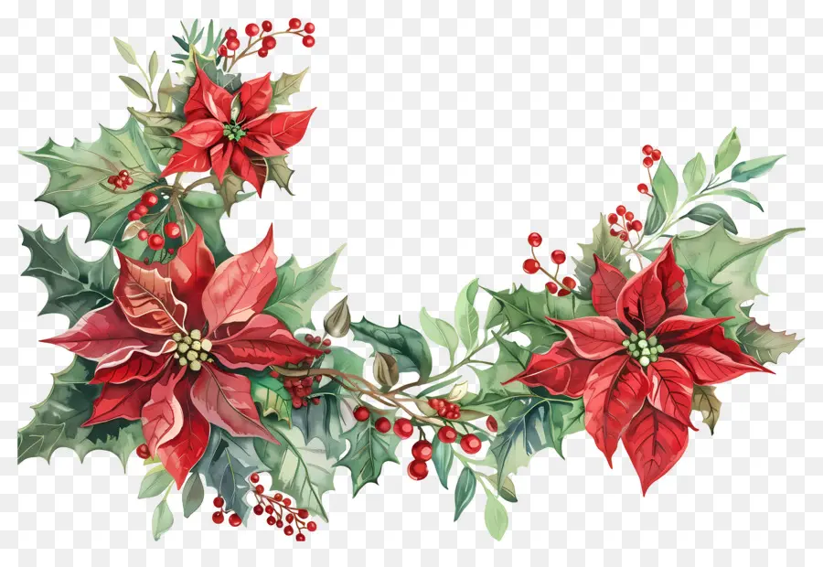 Pojok Natal，Poinsettia PNG