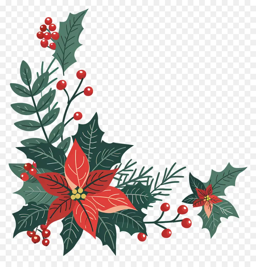 Pojok Natal，Poinsettia PNG