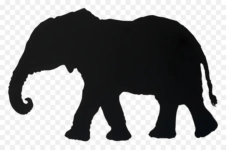 Siluet Gajah，Siluet Gajah Hitam PNG