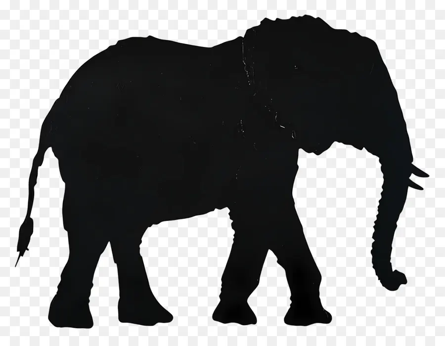 Siluet Gajah，Siluet Gajah Hitam PNG