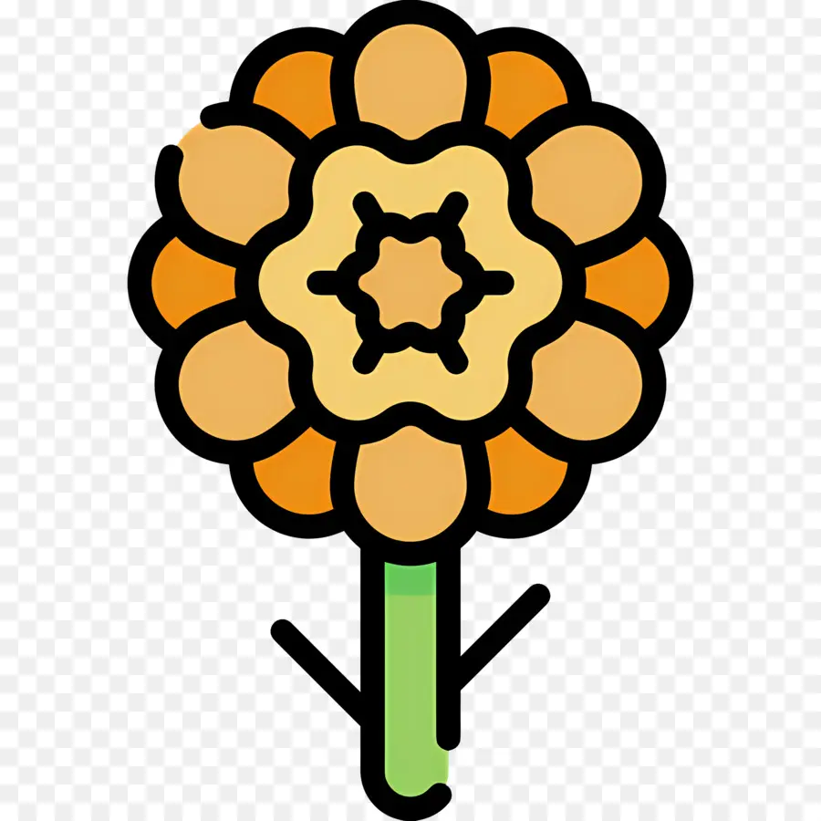 Bunga Marigold，Bunga Kuning PNG