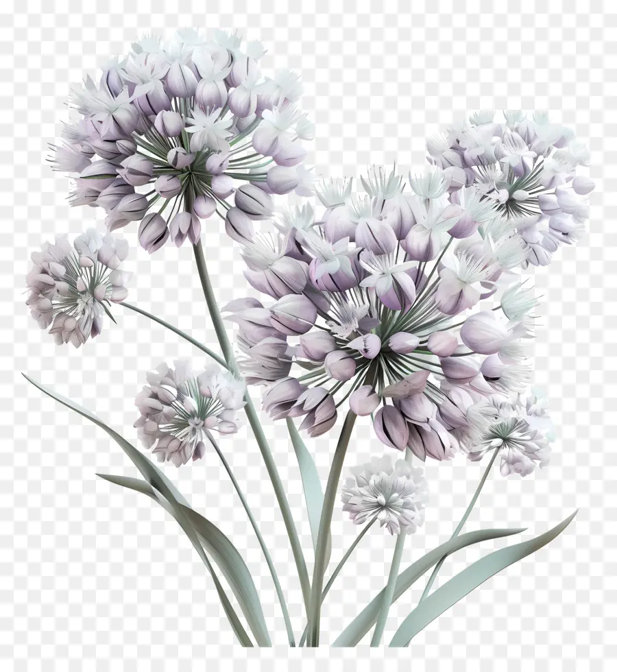 Bunga Allium 3d，Bunga Ungu PNG