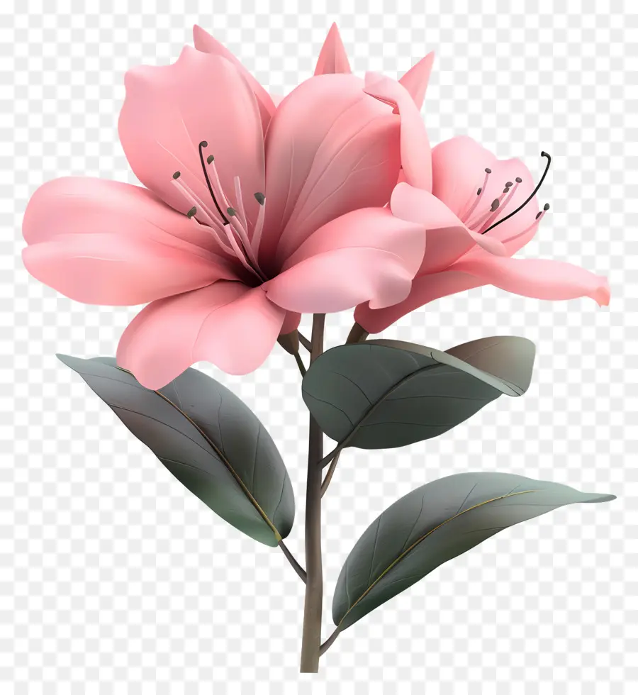 Bunga Azalea 3d，Bunga Merah Muda PNG