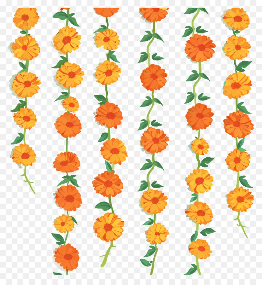 Karangan Bunga Marigold，Bunga PNG