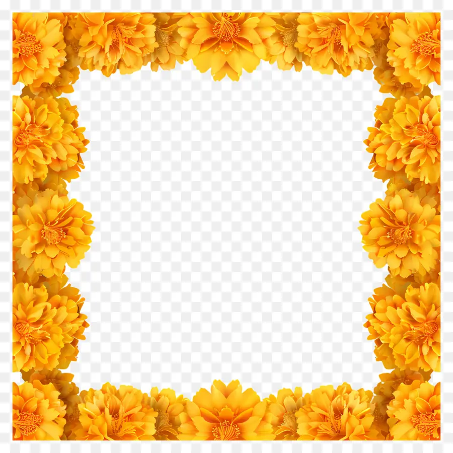 Karangan Bunga Marigold，Bingkai Marigold PNG