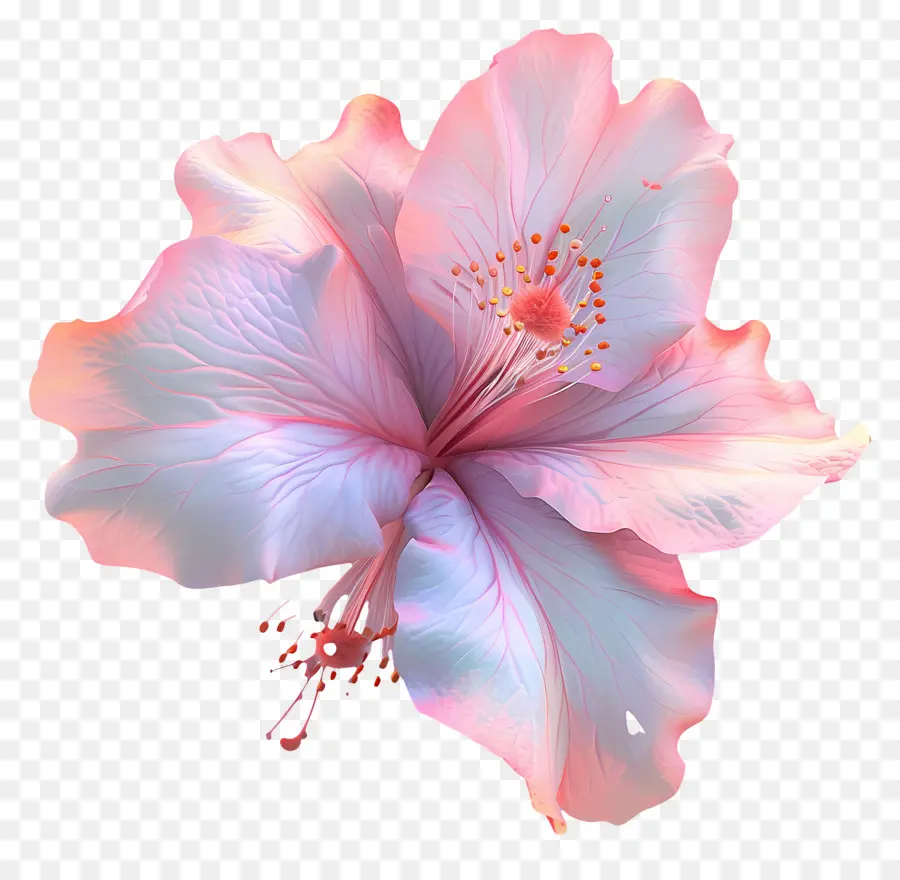 Bunga Azalea 3d，Bunga Merah Muda PNG