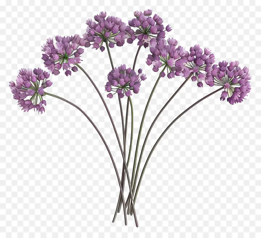 Bunga Allium 3d，Bunga Ungu PNG