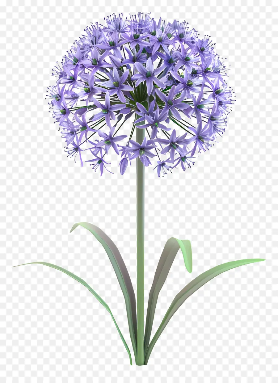 Bunga Allium 3d，Bunga Ungu Tunggal PNG