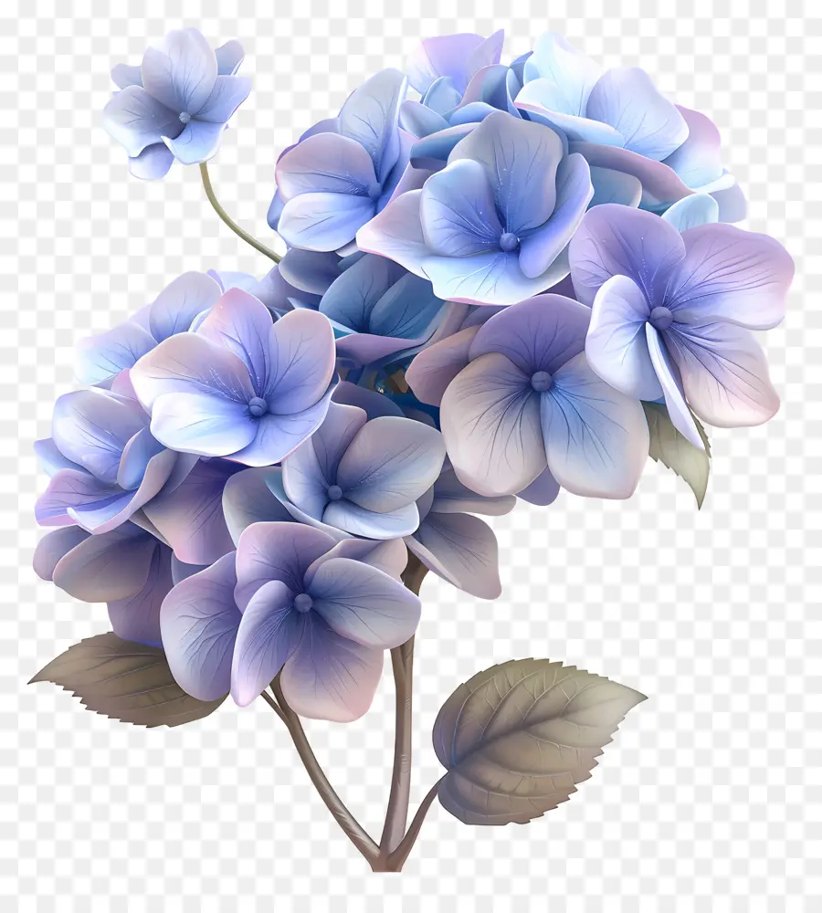 Bunga 3d，Hortensia PNG