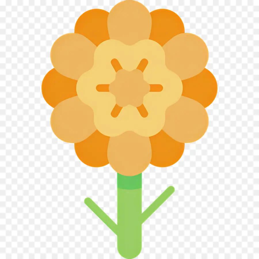 Bunga Marigold，Bunga Jeruk PNG