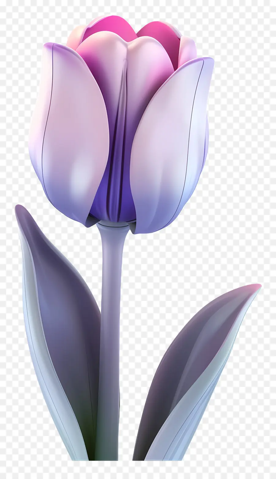 Bunga 3d，Tulip Merah Muda PNG