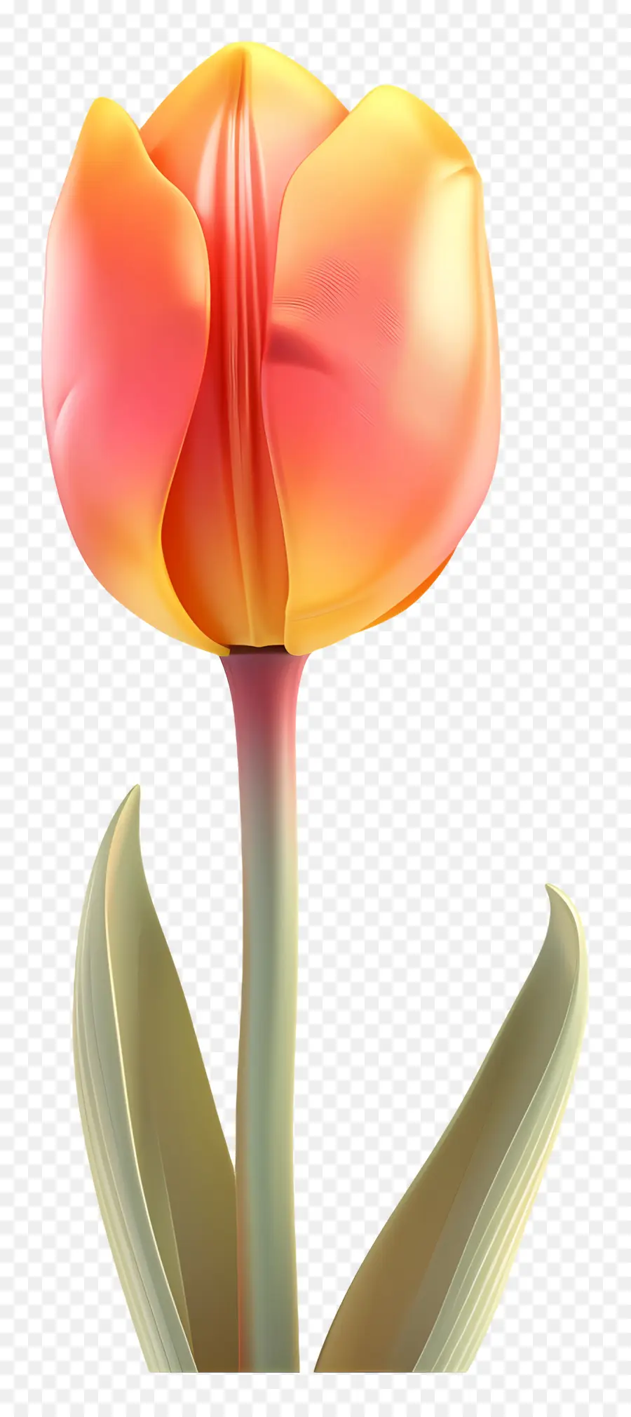 Bunga 3d，Bunga Tulip Oranye PNG