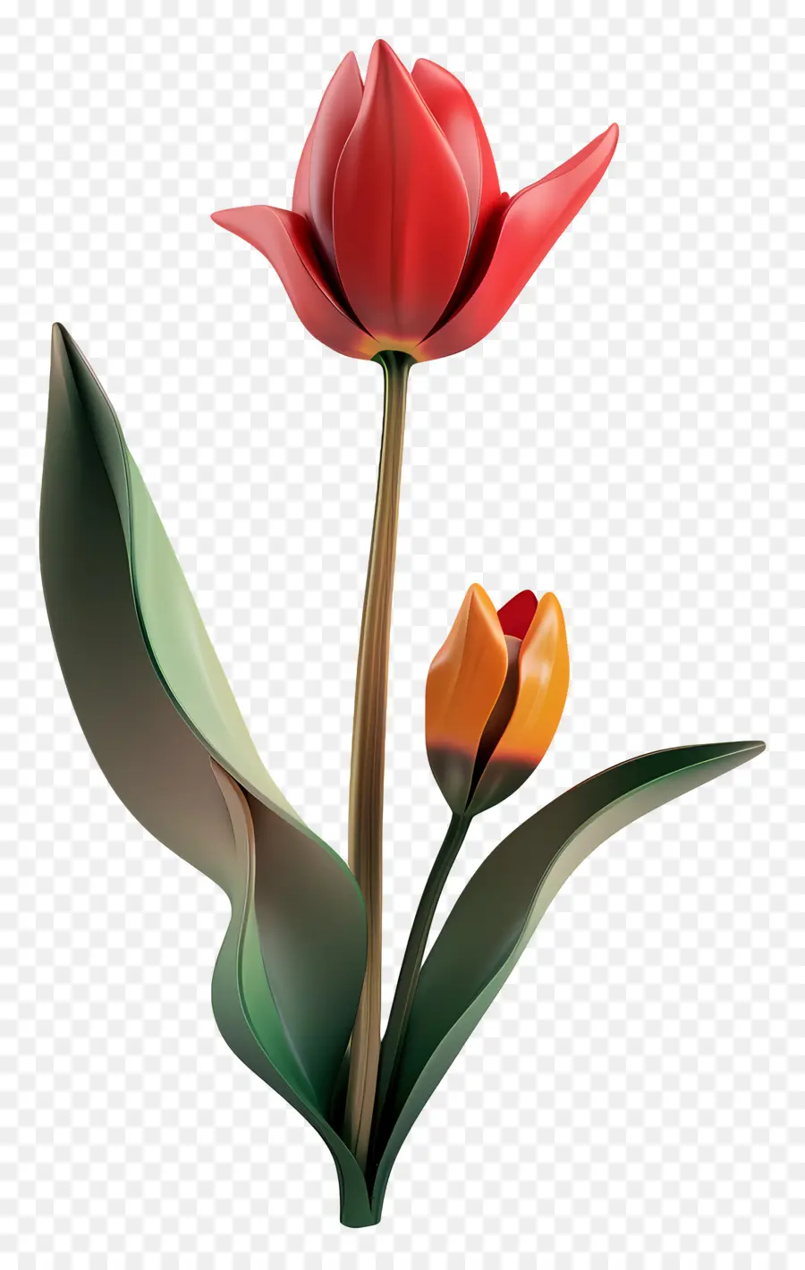 Bunga 3d，Tulip Merah PNG