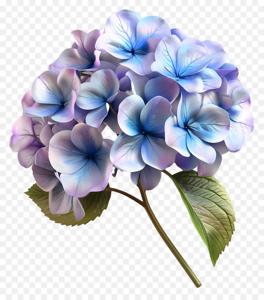 Bunga 3d，Hortensia PNG