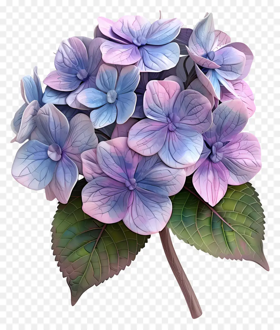 Bunga 3d，Hortensia PNG