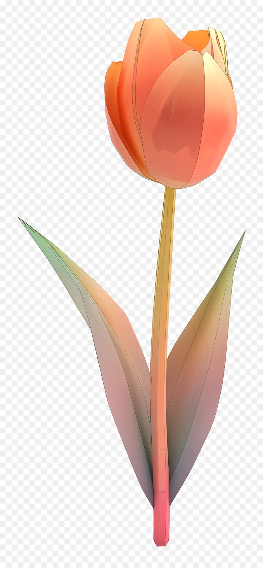 Bunga 3d，Tulip Merah Muda PNG