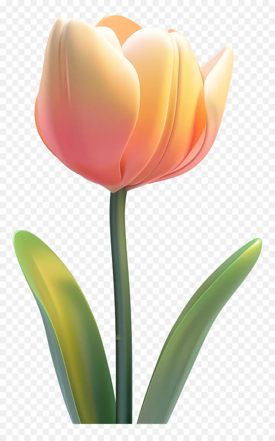 Bunga 3d，Bunga Tulp PNG