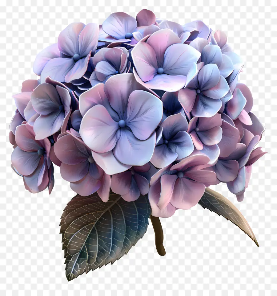 Bunga 3d，Hortensia PNG