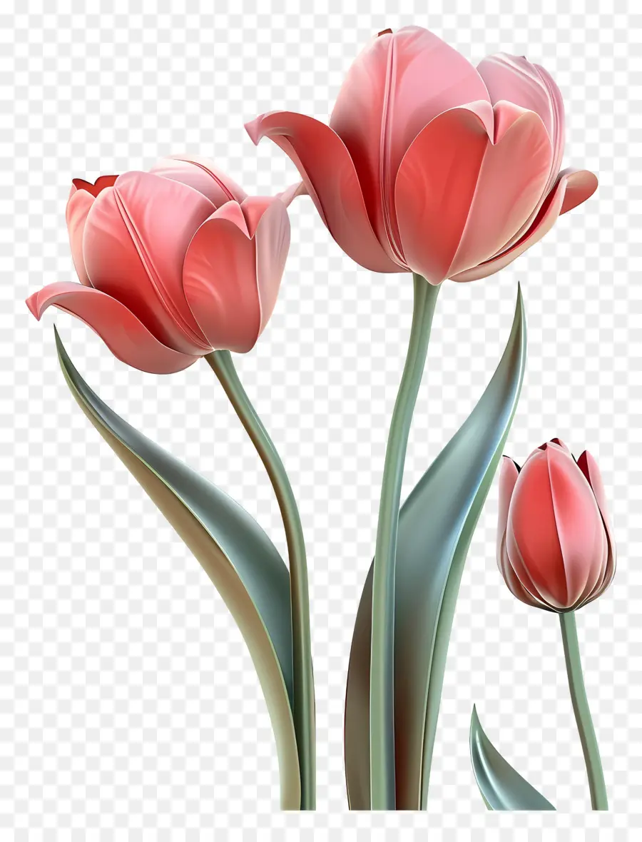 Bunga 3d，Tulip Merah Muda PNG