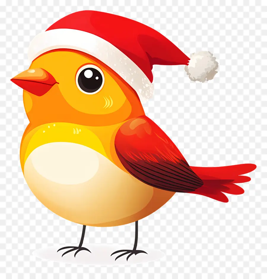 Burung Natal，Burung Berwarna Warni Dengan Topi Santa PNG