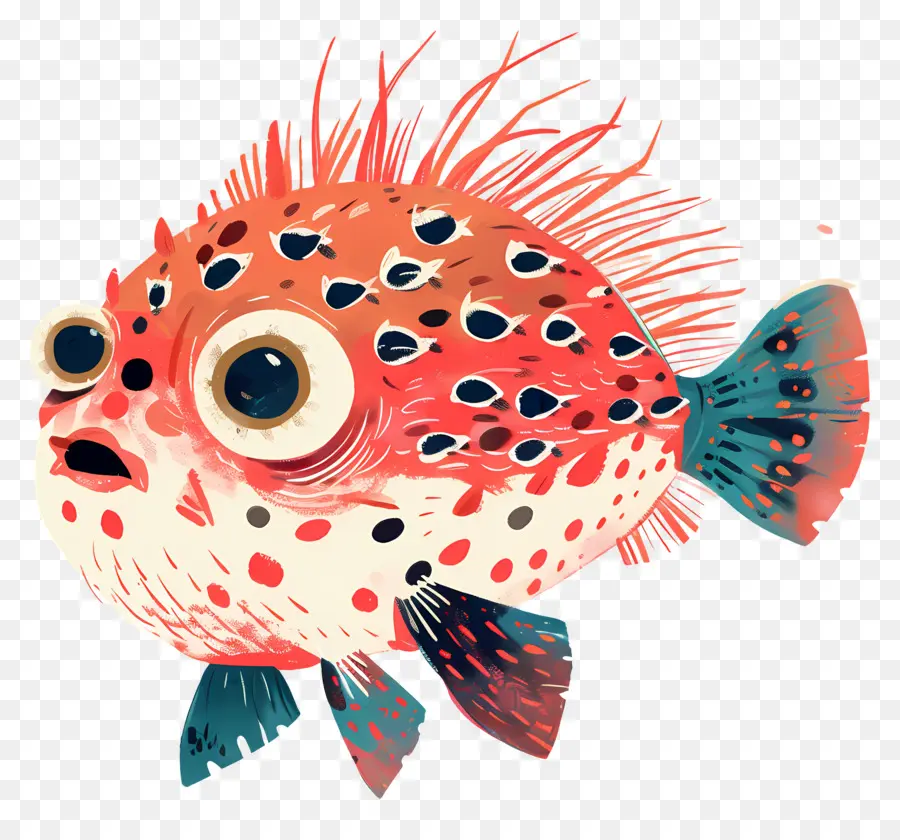 Ikan Buntal Yang Lucu，Ikan PNG