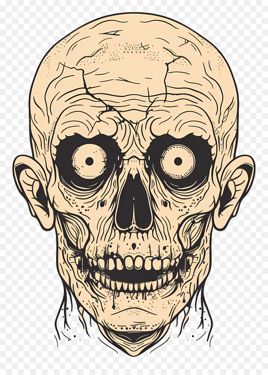 Kepala Zombie，Tengkorak Zombi PNG