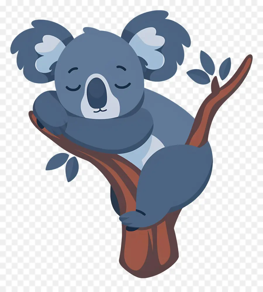 Koala Yang Lucu，Koala PNG