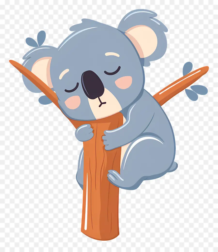 Koala Yang Lucu，Koala Tidur PNG