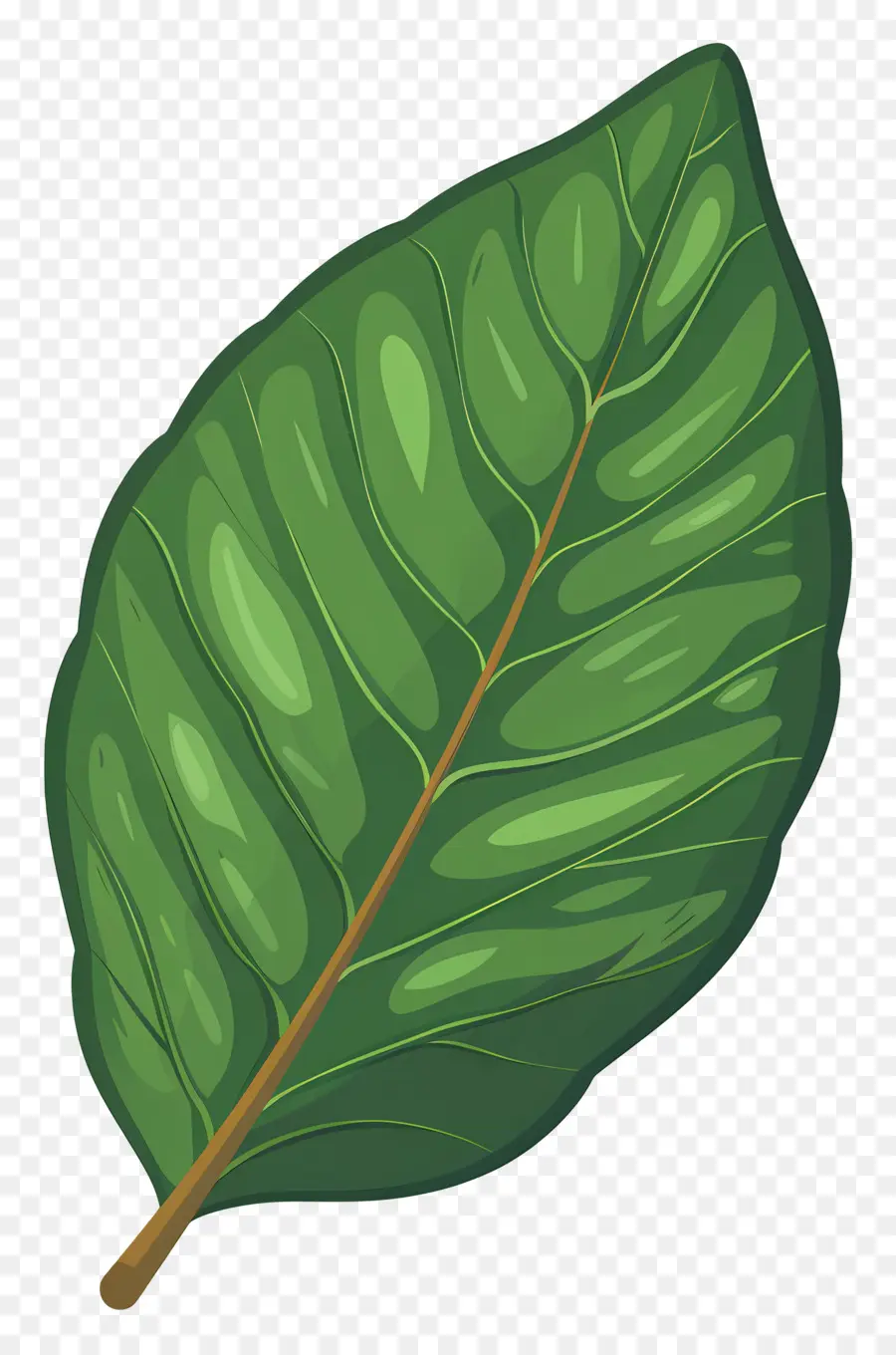 Daun Tunggal，Hijau Daun PNG