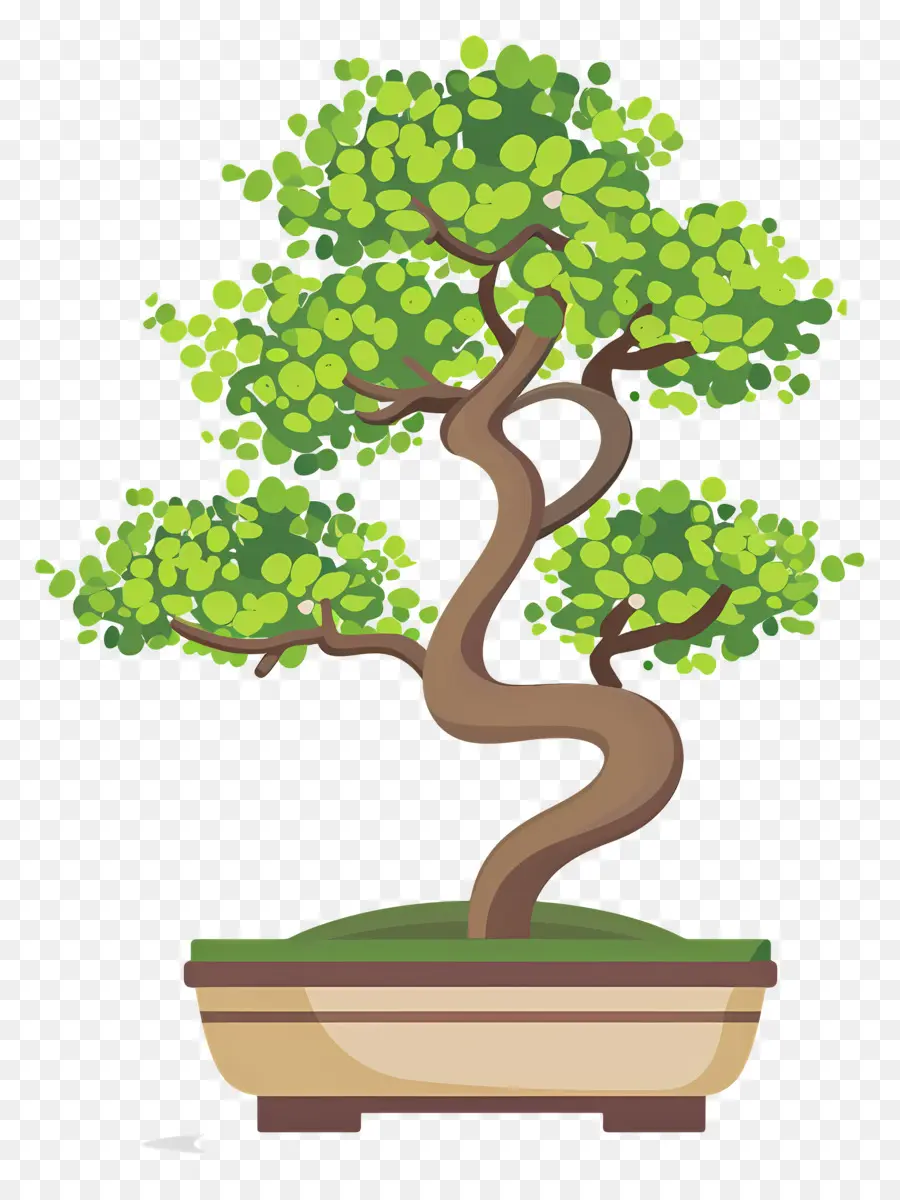 Pohon Bonsai，Miniatur PNG