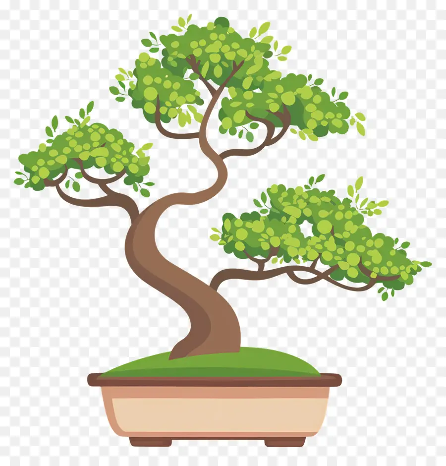 Pohon Bonsai，Miniatur PNG