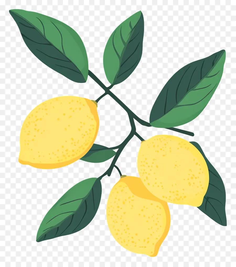 Lemon Cat Air，Lemon Kuning PNG