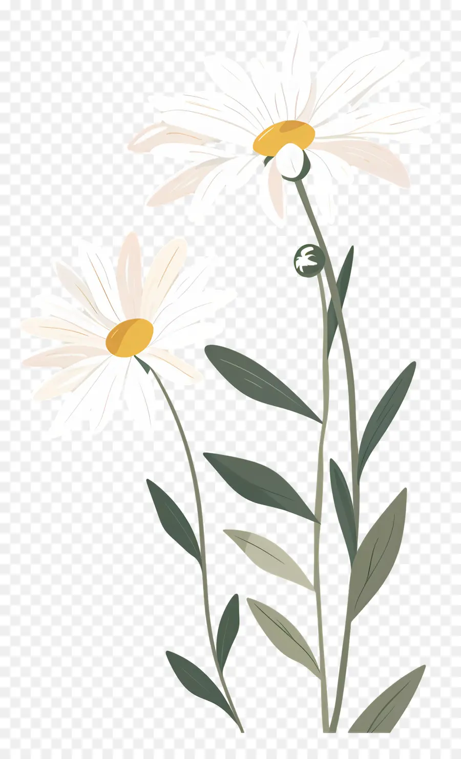 Bunga Daisy，Bunga Kuning PNG